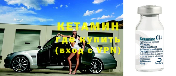 прущие грибы Абаза