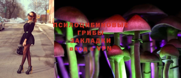 прущие грибы Абаза