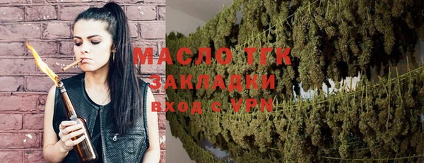 прущие грибы Абаза