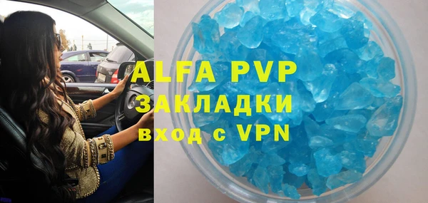 прущие грибы Абаза