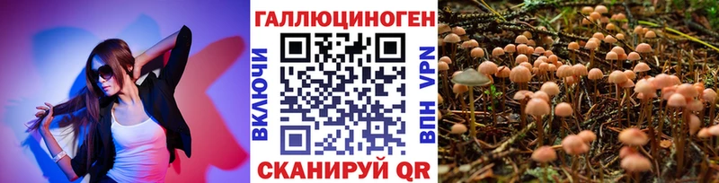Псилоцибиновые грибы прущие грибы  что такое   Староминская 