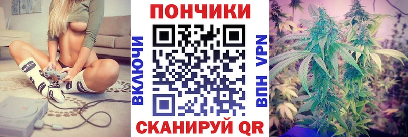 Бошки Шишки план  Староминская 
